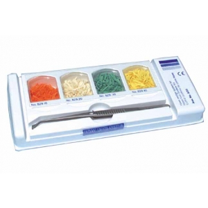 Kerr Hawe Sycamore Interdental Wedge Assorted (1000) System Kit
